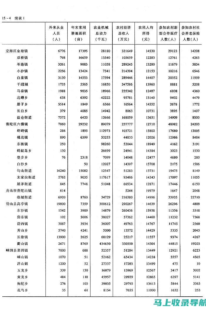 乡镇统计站长如何确保统计数据的质量与及时性：职责解析